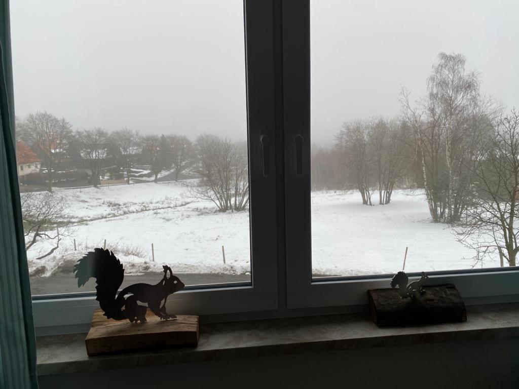 Urlaubshaus-Braunlage Wg 3 Exterior foto